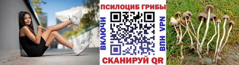 Купить закладки  Ува  Псилоцибиновые грибы Cubensis 