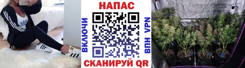 Купить  Ува  Конопля ГИДРОПОН 